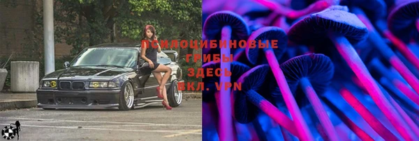 молекула духа Балахна