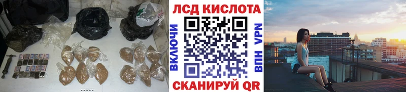 купить закладку  Белая Холуница  Лсд 25 экстази кислота 